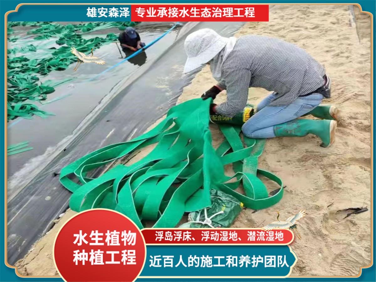 水生态治理施工现场 (2)